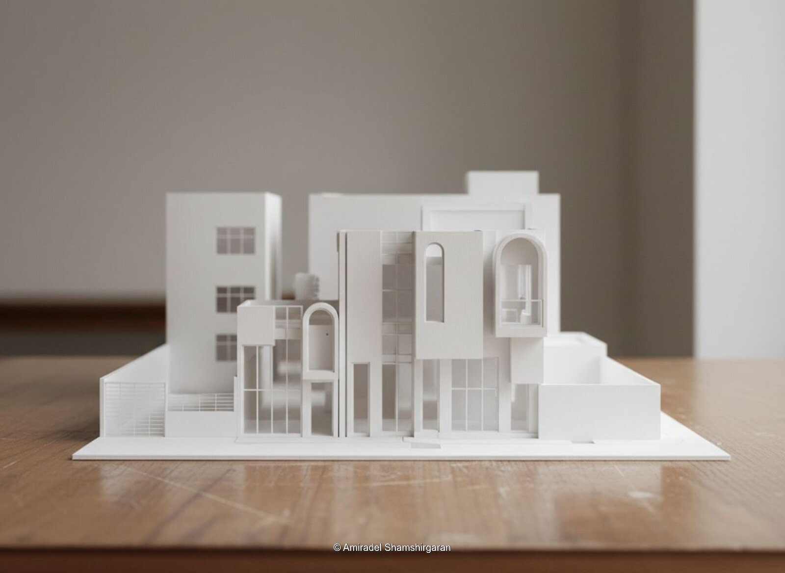 © Amiradel Shamshirgaran